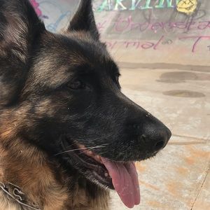 Meet your Posher, Smokey